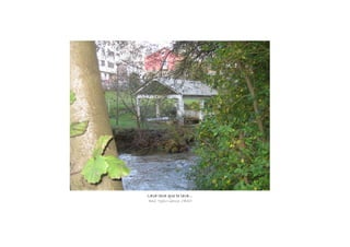 Lava lavaLava lavaLava lavaLava lava que te lava...que te lava...que te lava...que te lava...
Raúl Tojeiro García, 1ºESO
 