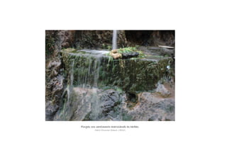 Pingas con sentimento acariciando as herbasPingas con sentimento acariciando as herbasPingas con sentimento acariciando as herbasPingas con sentimento acariciando as herbas.
Mario Formoso Ramil, 1ºESO.
 