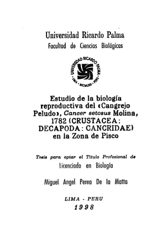Perea de la Matta (1).pdf