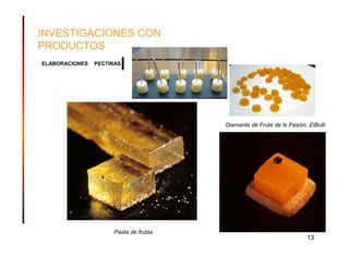 INVESTIGACIONES CON
PRODUCTOS
ELABORACIONES   PECTINAS




                                        Diamante de Fruta de la Pasión. ElBulli




                      Pasta de frutas
                                                                       13
 