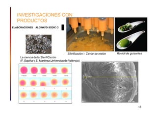 INVESTIGACIONES CON
   PRODUCTOS
ELABORACIONES    ALGINATO SODIC O




                                            Sferificación – Caviar de melón   Ravioli de guisantes
     La ciencia de la SferifiCación
     (F. Sapiña y E. Martinez,Universitat de València)




                                                                                               16
 