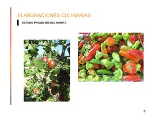 ELABORACIONES CULINARIAS
 ESTUDIO PRODUCTOS DEL HUERTO




                                21
 