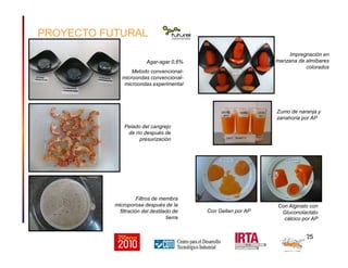 PROYECTO FUTURAL
                                                                     Impregnación en
                          Agar-agar 0,6%                        manzana de almíbares
                                                                           colorados
                  Metodo convencional-
              microondas convencional-
               microondas experimental




                                                                Zumo de naranja y
                                                                zanahoria por AP
               Pelado del cangrejo
                de río después de
                     presurización




                      Filtros de membra
           microporosa después de la                            Con Alginato con
             filtración del destilado de    Con Gellan por AP    Gluconolactato
                                   tierra                         cálcico por AP


                                                                           25
 