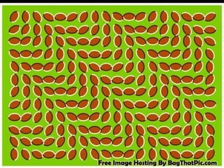 Secrets of Success   Perfect Knowledge
 