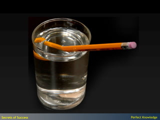 Secrets of Success   Perfect Knowledge
 