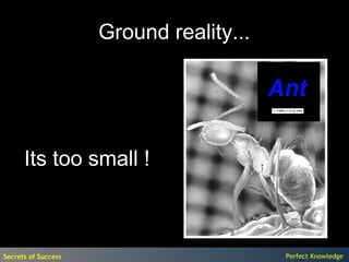 Ground reality...




      Its too small !



Secrets of Success                       Perfect Knowledge
 