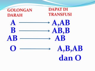 GOLONGAN 
DARAH 
DAPAT DI 
TRANSFUSI 
A A,AB 
B AB,B 
AB AB 
O A,B,AB 
dan O 
 