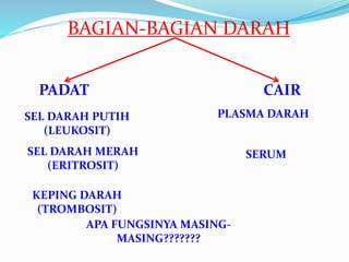BAGIAN-BAGIAN DARAH 
PADAT CAIR 
SEL DARAH PUTIH 
(LEUKOSIT) 
SEL DARAH MERAH 
(ERITROSIT) 
KEPING DARAH 
(TROMBOSIT) 
PLASMA DARAH 
APA FUNGSINYA MASING-MASING??????? 
SERUM 
 