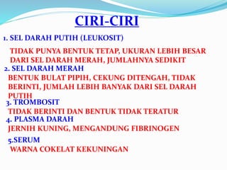 CIRI-CIRI 
1. SEL DARAH PUTIH (LEUKOSIT) 
TIDAK PUNYA BENTUK TETAP, UKURAN LEBIH BESAR 
DARI SEL DARAH MERAH, JUMLAHNYA SEDIKIT 
2. SEL DARAH MERAH 
BENTUK BULAT PIPIH, CEKUNG DITENGAH, TIDAK 
BERINTI, JUMLAH LEBIH BANYAK DARI SEL DARAH 
PUTIH 
3. TROMBOSIT 
TIDAK BERINTI DAN BENTUK TIDAK TERATUR 
4. PLASMA DARAH 
JERNIH KUNING, MENGANDUNG FIBRINOGEN 
5.SERUM 
WARNA COKELAT KEKUNINGAN 
 