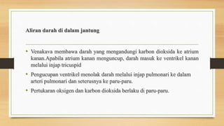 Aliran darah di dalam jantung
• Venakava membawa darah yang mengandungi karbon dioksida ke atrium
kanan.Apabila atrium kanan menguncup, darah masuk ke ventrikel kanan
melalui injap tricuspid
• Pengucupan ventrikel menolak darah melalui injap pulmonari ke dalam
arteri pulmonari dan seterusnya ke paru-paru.
• Pertukaran oksigen dan karbon dioksida berlaku di paru-paru.
 
