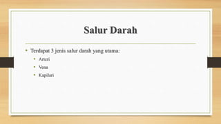 Salur Darah
• Terdapat 3 jenis salur darah yang utama:
• Arteri
• Vena
• Kapilari
 