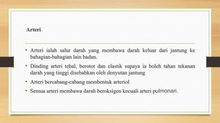 Arteri
• Arteri ialah salur darah yang membawa darah keluar dari jantung ke
bahagian-bahagian lain badan.
• Dinding arteri tebal, berotot dan elastik supaya ia boleh tahan tekanan
darah yang tinggi disebabkan oleh denyutan jantung
• Arteri bercabang-cabang membentuk arteriol
• Semua arteri membawa darah beroksigen kecuali arteri pulmonari.
 