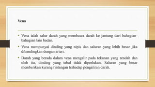 Vena
• Vena ialah salur darah yang membawa darah ke jantung dari bahagian-
bahagian lain badan.
• Vena mempunyai dinding yang nipis dan saluran yang lebih besar jika
dibandingkan dengan arteri.
• Darah yang berada dalam vena mengalir pada tekanan yang rendah dan
oleh itu, dinding yang tebal tidak diperlukan. Saluran yang besar
memberikan kurang rintangan terhadap pengaliran darah.
 