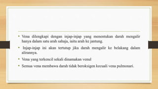 • Vena dilengkapi dengan injap-injap yang menentukan darah mengalir
hanya dalam satu arah sahaja, iaitu arah ke jantung.
• Injap-injap ini akan tertutup jika darah mengalir ke belakang dalam
alirannya.
• Vena yang terkencil sekali dinamakan venul
• Semua vena membawa darah tidak beroksigen kecuali vena pulmonari.
 