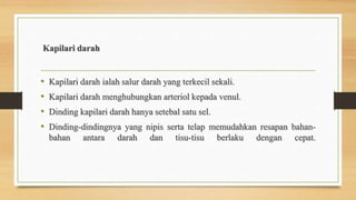 Kapilari darah
• Kapilari darah ialah salur darah yang terkecil sekali.
• Kapilari darah menghubungkan arteriol kepada venul.
• Dinding kapilari darah hanya setebal satu sel.
• Dinding-dindingnya yang nipis serta telap memudahkan resapan bahan-
bahan antara darah dan tisu-tisu berlaku dengan cepat.
 
