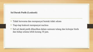 Sel Darah Putih (Leukosit)
• Tidak berwarna dan mempunyai bentuk tidak sekata
• Tiap-tiap leukosit mempunyai nucleus
• Sel-sel darah putih dihasilkan dalam sumsum tulang dan kelenjar limfa
dan hidup selama lebih kurang 30 jam.
 