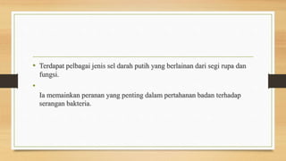 • Terdapat pelbagai jenis sel darah putih yang berlainan dari segi rupa dan
fungsi.
•
Ia memainkan peranan yang penting dalam pertahanan badan terhadap
serangan bakteria.
 