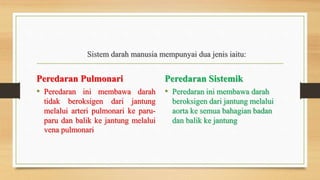 Sistem darah manusia mempunyai dua jenis iaitu:
Peredaran Pulmonari
• Peredaran ini membawa darah
tidak beroksigen dari jantung
melalui arteri pulmonari ke paru-
paru dan balik ke jantung melalui
vena pulmonari
Peredaran Sistemik
• Peredaran ini membawa darah
beroksigen dari jantung melalui
aorta ke semua bahagian badan
dan balik ke jantung
 