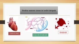 Struktur anatomi sistem ini terdiri daripada
JANTUNG
SALUR DARAH
DARAH
 