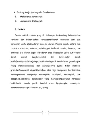 Pembuluh darah punggung atau dorsal pada ikan berfungsi untuk