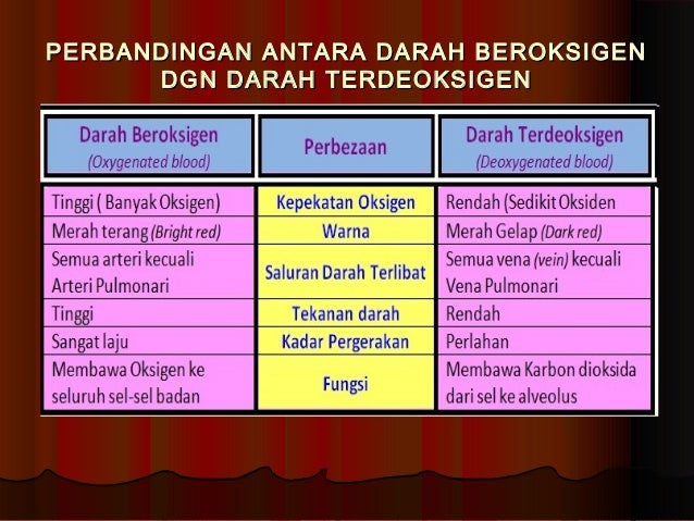 Mekanisme Peredaran darah melalui jantung
