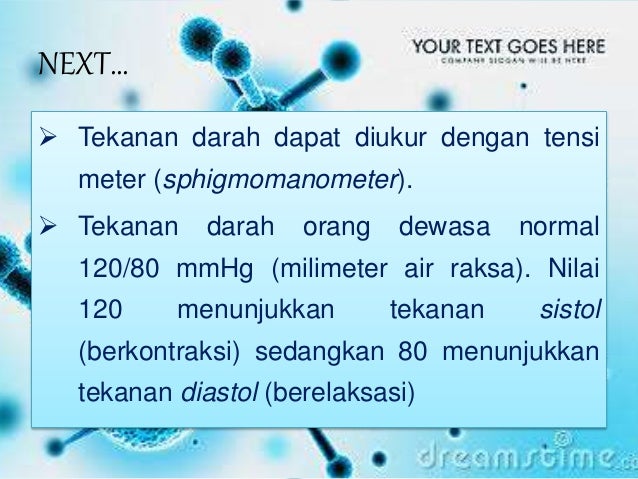 Peredaran darah pada manusia SMP Kelas VIII KTSP
