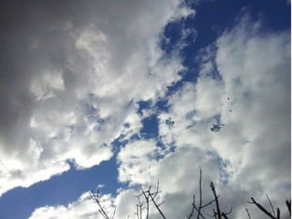 Peregrinacion Mariana 2012