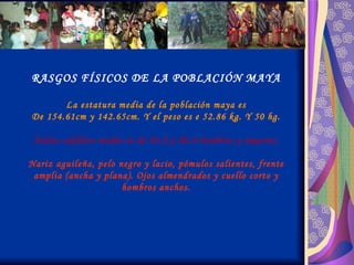 RASGOS FÍSICOS DE LA POBLACIÓN MAYA La estatura media de la población maya es De 154.61cm y 142.65cm. Y el peso es e 52.86 kg. Y 50 hg. Índice cefálico medio es de 85.8 y 86.8 hombres y mujeres. Nariz aguileña, pelo negro y lacio, pómulos salientes, frente amplia (ancha y plana). Ojos almendrados y cuello corto y hombros anchos. 