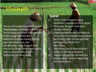 Musaqah
a)
Secara Etimologi Musaqah berarti
Penyiraman, Sedangkan menurut
Terminologi musaqah ialah pemilik
kebun yang memberikan
kebunnya kepada tukang kebun
agar dipeliharanya, dan
penghasilan yang di dapat dari
kebun itu dibagi antara keduanya,
menurut perjanjian antara
keduanya sewaktu akad.

b)

c)
d)

Pohon atau tanaman yang
dipelihara hendaknya jelas dapat
diketahui dengan mata atau
dengan sifatnya.
Waktu pemeliharaan hendaknya
jelas.Karena musaqah merupakan
akad yang pasti serupa jual beli
sehingga terhindar dari
kericuhan.
Hendaknya akad dilaksanakan
sebelum dibuat perjanjian.
Bagian penggarap hendaknya
jelas apakah separuh sepertiga
dan seterusnya.

 