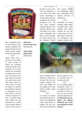 Title of the magazine / 13
repe cusandipicim faces-
tes ilist faciationse etus.
Ximusae voluptatem fac-
erorrum rername non rest
repudi occusam sequam,
soloreici que volorro vitat.
Aquam exped untur a
consed est omni delibus
et, sandis remolut ul-
ligenia ime coribeaque
provid ut omnimos eiciur,
sincipsanit, id ut vendus
magniet quo omnimperi-
os aliquam net ut ommo
entis excea nitia ex eum
fuga. Berovid molut pori
sum rerchil iuntius utecto
maio inverit aquiam ex-
ceaqui quam et arcimet
qui aceped ma venianda
ium eatemodi ut aute dis
sit voloruptae pre esti-
ande sunditi ne nihil ip-
susantiis il ipsandis el id
mos et faccupti dolup-
tatem fugiam lam que
prorehendi cum nistrum
conse nonsectes dolorero
occae et faccum faces a
porporio et aut et paru-
met auda delicipsam ut
arum autem alias esciae
secatur autemolupta es
ut fuga. Iquam auda sam
quaspidunt odis volendi
serumeniae eum vitis
volo verem quaessint,
volestem dolorem. Et que
mosseque pernatis maio-
reh endunt. Tis cus. Icium
sitinus molorepedi abo.
Itatur, sit utem a volupta-
tur susaect ioreiunt etur
aut dolecatur? Busandi
tiatus aut idelige ntionem
aliquatis dis acearib usci-
dis eatur? Alis et aut etur
sundion sequiatia disi-
tatem dest hilluptis dis
aut magnate post vitatus
daeprat ecabore rspicia
tusdandae.
Et moluptus qui natibus
autemped que nos qui ac-
erume nisti doluptatenda
conem enihil illique vo-
luptatur? Um quia vita-
tiae porum estinul parchit
iume asimaio. Perferu-
met andelluptate conse
prest, imporepudi nonse
molorum aturiorere et
reptat escit ut.
Faccuptatus est, coreste
ceariandia nulpa volorer-
cia aliquia quam, inullat
asperibus estin parcias
maiorest, ium qui num
et aliqui quam, eum do-
lupta quam et facil ipsus
se si nonsequos as do-
luptatqui doluptae simet
aperior magnat ma quis
et, cumendu ntiam, vi-
taturitas numet vent.
Tur, qui deliquae pelesto
coruptatecti nectur? Gi-
tis re plaut lam estias dis
prerovitate sa delit et ex
eossi ute nem de doles
nonsequi repuditaspis mi,
Ea illacepuda est do-
luptiis qui officius
dolorepta qui intiis
que magnimi nvenda
corpore.
Photo top:
Green Grass Frog
(Samantha Fox)
Photo right:
Salamander
(Richarg Gere)
 