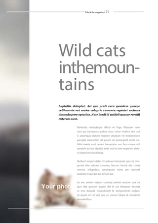 Title of the magazine / 25
Wild cats
inthemoun-
tains
Rehendis moluptaspe officia vit fuga. Ribusam num
sam qui consequia quibea eum, netur molent alist aut
is atiumquo dolorio nsecten ditatium hil moloreictore
parupta volorentori sit parum ut quisimpedi deste no-
bitiis everis sunt quiam haruptatur aut faccumque odi
sandam ad mo blaudis amet aut et eum experum dolo-
ris dolorrum iducilibusa.
Quiberf erspisi blabo. Et autaspi tionsenet quis et rem-
porios dite oditate consequ iberum harcia alia conet
omnist, voluptibus, consequam isime pre comniet
acideles re que pe qui berum qui.
Ist am, antem eatum, consece pereici aecture que ea
quis dita quiasim quatisi del et est doluptasi deraest
re mos dolupta tiosandundit lic temporitecte endam,
ut quate est et unt que et, sinveri tatqui di nonsendi
remolestibus.
Luptatiis doluptat. Asi que prati vero quuntem quaepe
velibusanis net maios voluptia cumentu reptatet escimus
dusanda pore optatius. Nate landi id quideli quatur rerchil
enterum sunt.
 
