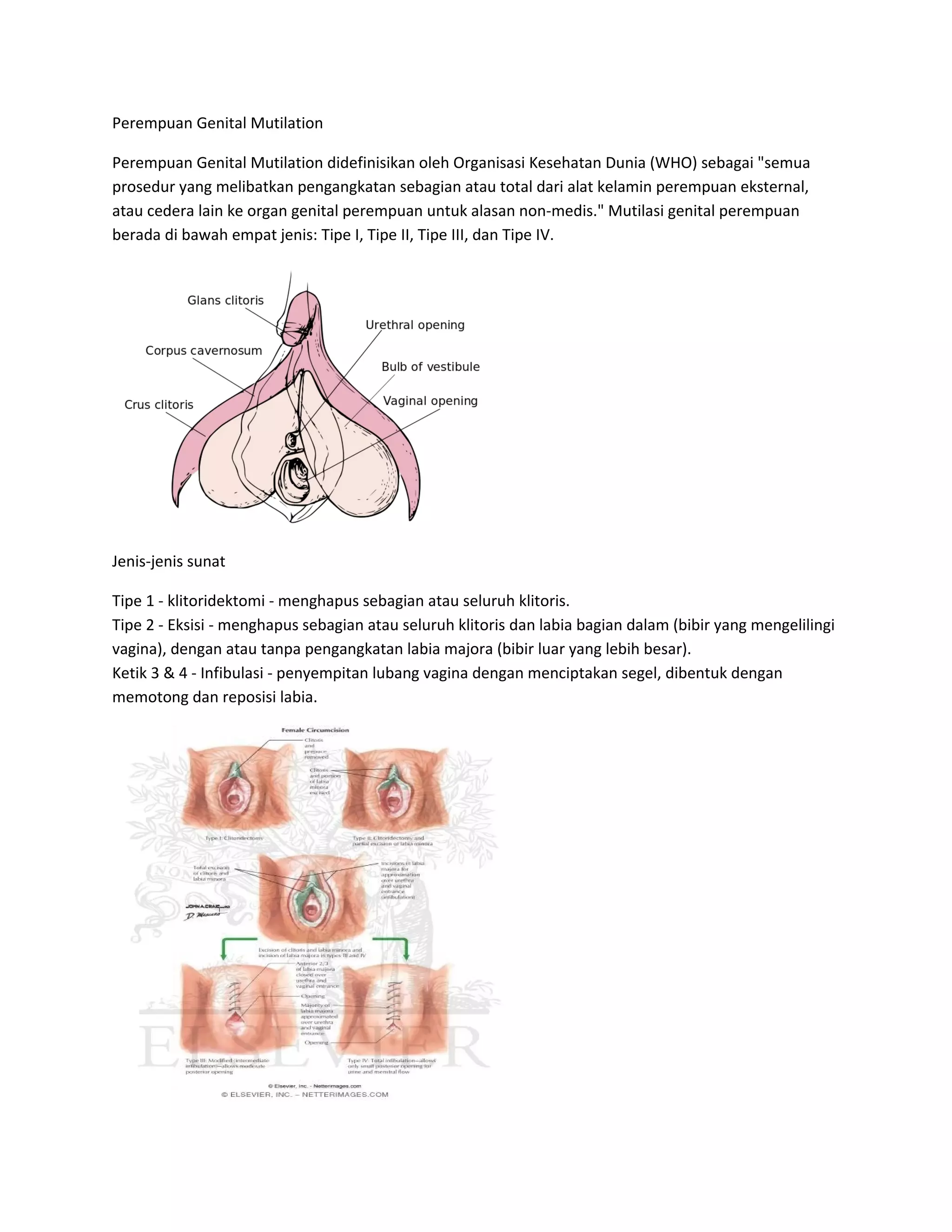 Ichki kiyimdagi keksa ayollarning fotosuratlari