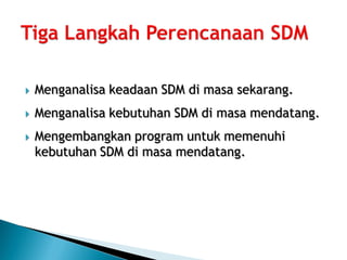   Menganalisa keadaan SDM di masa sekarang.
   Menganalisa kebutuhan SDM di masa mendatang.
   Mengembangkan program untuk memenuhi
    kebutuhan SDM di masa mendatang.
 