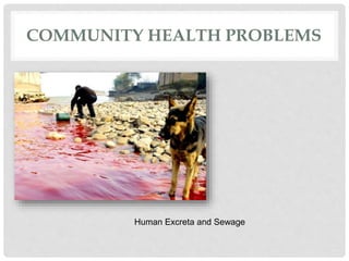 COMMUNITY HEALTH PROBLEMS
Human Excreta and Sewage