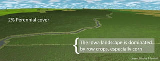 The Iowa landscape is dominated
by row crops, especially corn
Larsen, Schulte & Tyndall
2% Perennial cover
 