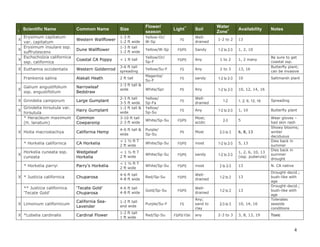 Common Name

Size

Flower/
season

Western Wallflower

1-3 ft
1-2 ft wide

Yellow-Or/
W-Sp

Dune Wallflower

1-3 ft tall
1-2 ft wide

Yellow/W-Sp

Coastal CA Poppy

< 1 ft tall

Yellow/Or/
Sp-F

Western Goldenrod

3-6 ft tall
spreading

Frankenia salina

I

Alakali Heath

2 ft tall

Galium angustifolium
ssp. angustifolium

Narrowleaf
Bedstraw

Scientific Name

Erysimum capitatum
var. capitatum
Erysimum insulare ssp.
X
suffrutescens
Eschscholzia californica
X
ssp. californica

Light**

Soil

Water
Zone+

Availability

Welldrained

1-2 to 2

13

FS/PS

Sandy

1-2 to 2-3

1, 2, 10

FS/PS

Any

1 to 2

1, 2 many

Yellow/Su-F

FS

Any

2 to 3

13, 16

Magenta/
Su-F

FS

sandy

1-2 to 2-3

10

1-3 ft tall &
wide

White/Spr

PS

Any

1-2 to 2-3

10, 12, 14, 16

2-3 ft tall
3-5 ft wide
1-2 ft tall &
wide

Yellow/
Sp-Fa
Yellow/
Sp-Su

FS

Welldrained

FS

Any

Common
Cowparsnip

3-10 ft tall
2-3 ft wide

White/Sp-Su

California Hemp

4-6 ft tall &
wide

Purple/
Sp-Su

* Horkelia californica

CA Horkelia

< 1 ½ ft T
2 ft wide

Horkelia cuneata ssp.
cuneata

Wedgeleaf
Horkelia

* Horkelia parryi

X

X Euthamia occidentalis

X

X Grindelia camporum
X

Grindelia hirsutula var.
hirsutula
* Heracleum maximum
(H. lanatum)

Large Gumplant
Hairy Gumplant

FS

1-2
1-2 to 2-3

1, 10

Butterfly plant

2-3

PS

Most

2-3 to 3

White/Sp-Su

FS/PS

most

1-2 to 2-3

5, 13

< 1 ½ ft T
2 ft wide

White/Sp-Su

FS/PS

sandy

1-2 to 2-3

1, 2, 6, 10, 13
(ssp. puberula)

Parry’s Horkelia

< 1 ½ ft T
2 ft wide

White/Sp-Su

FS/PS

most

2 to 2-3

13

Chuparosa

4-6 ft tall
4-8 ft wide

Red/Sp-Su

FS/PS

Welldrained

1-2 to 2

13

‘Tecate Gold’
Chuparosa

4-6 ft tall
4-8 ft wide

Gold/Sp-Su

FS/PS

Welldrained

1-2 to 2

13

X Limonium californicum

California SeaLavender

1-2 ft tall
and wide

Purple/Su-F

FS

Any;
sand to
clay

2-3 to 3

10, 14, 16

X *Lobelia cardinalis

Cardinal Flower

1-2 ft tall
1 ft wide

Red/Sp-Su

FS/PS/ FSH

X * Justicia californica
** Justicia californica
'Tecate Gold'

any

2-3 to 3

Saltmarsh plant

Spreading

Most;
acidic

X Hoita macrostachya

Be sure to get
coastal ssp.
Butterfly plant;
can be invasive

1, 2, 6, 12, 16

FS/PS

X

Notes

5
6, 8, 13

3, 8, 13, 19

Wear gloves –
bad skin rash
Showy blooms;
winter
deciduous
Dies back in
summer
Dies back in
summer
drought
N. CA native
Drought-decid.;
bush-like with
age
Drought-decid.;
bush-like with
age
Tolerates
seaside
conditions
Toxic

4

 
