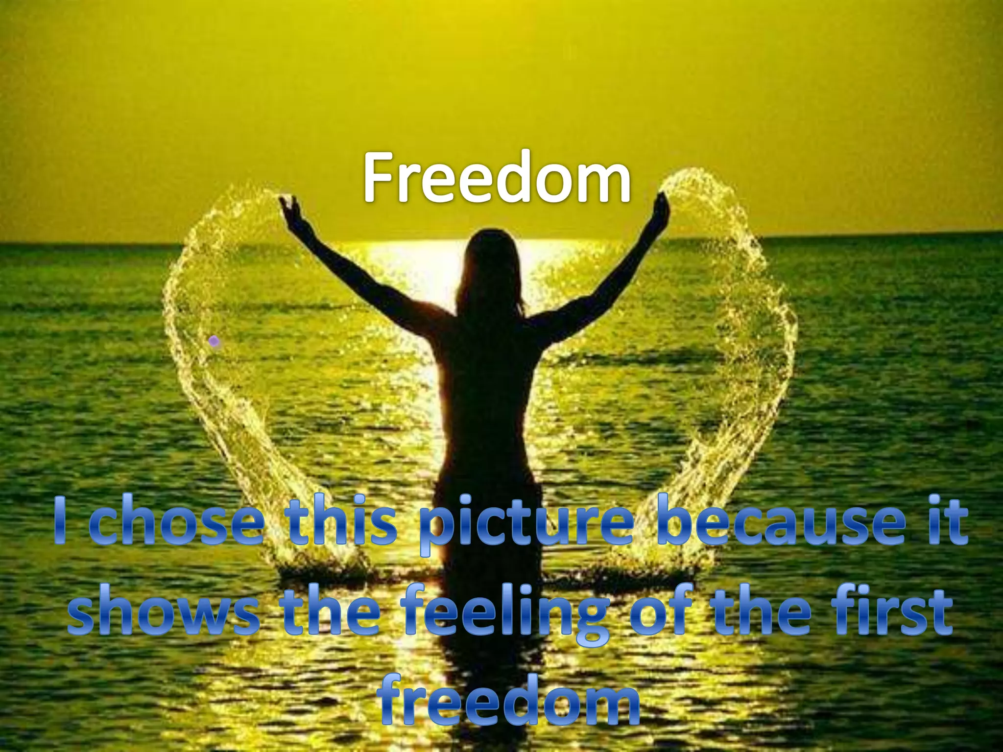 Freedom. I chose this picture because it shows the feeling of the first freedom