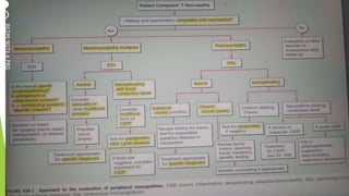 Peripheral neuropathy | PPTX