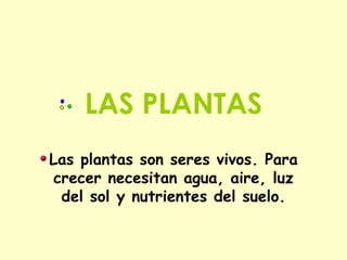 LAS PLANTAS Las plantas son seres vivos. Para crecer necesitan agua, aire, luz del sol y nutrientes del suelo. 