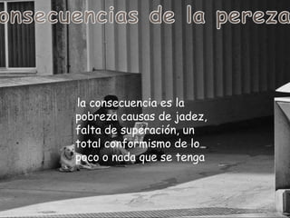 la consecuencia es la
pobreza causas de jadez,
falta de superación, un
total conformismo de lo
poco o nada que se tenga
 