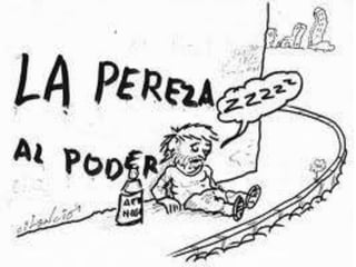 Pereza
