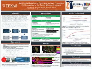 Background
1
Jose Perez1, Meghan Bloom2, Marcelo Behar2
1 The University of Texas at El Paso
2 Cellular Sensing and Communication Dynamics Research Group, Biomedical Engineering, The University of Texas at Austin
Multi-Scale Modeling of T Cell and Antigen Presenting
Cell Interaction in the Tumor Microenvironment
Conclusions
• Model recapitulates basic interactions between T Cells and APCs
• Ligand competition between CTLA-4 and CD28 receptors
• CTLA-4 recycling intracellular process
• Cell movement and T Cell co-activation extracellular processes
• Model sets a basis for development
• More complex intracellular and extracellular processes required for immunotherapy
design
Abstract
The impact cancer has on the world today is very significant and costly.
Out of the current treatments for cancer one of particular promise is
immunotherapy. However, a large fraction of cancer patients is still
unresponsive to immunotherapies. This is partly due to the fact that
every patient is different and tumor microenvironments are very diverse.
There is therefore a need for predictive tools suitable for adjusting
treatments to individual patient’s microenvironments.
To this end we implement a computational model of immune cell
interactions including cell types and molecular processes relevant for
cancer immunotherapy. Ultimately, the model will enable clinicians to
test therapies and dosages to define optimal treatment plans for
individual patients.
Results (Continued)
Multi-Scale Model Processes Selection
Methodology
Results
Acknowledgments
Research reported in this poster was supported by the National Institute Of General Medical Sciences of the National
Institutes of Health under linked Award Numbers RL5GM118969, TL4GM118971, and UL1GM118970. The content is
solely the responsibility of the authors and does not necessarily represent the official views of the National Institutes of
Health.
Doctor
gathers data
from patient
Model is
adjusted for
individual
patient
Treatment
plans are
selected
Model
simulates
treatments
Treatments
are compared
Optimal
treatment is
proposed
• Cancer is a systemic disease that influences and is influenced by the immune
system.
• Immunotherapy is a type of cancer treatment that helps the immune system
fight cancer. (National Cancer Institute).
• One form of T Cell immunotherapy is checkpoint-blocking.1
• Immune checkpoint molecules are used by tumors to suppress and
evade attacks from the immune system.1
• Checkpoint blocking therapies seek to prevent this suppression of
immune activity.1
• Interactions between T Cells and Antigen Presenting Cells in the tumor
microenvironment are relevant for this therapy.
• Model begins by implementing some of these interactions.
0
1000
2000
3000
4000
1
10
19
28
37
46
55
64
73
82
91
100
109
118
127
136
145
154
163
172
181
190
199
208
217
226
235
244
LigandEngagements(Total)
Time (Monte Carlo Steps)
CD28 and CTLA-4 Receptor Engagement
CD28 CTLA-4
Figure 2. Movement of cells from initial arrangement after 7 MCS.
Cells have scattered around their origin and began interacting.
Figure 3. State of cells after a usual simulation of 200 MCS. Activated
T Cells from the co-activation process are present.
Legend
APC
Naïve Treg
Active Treg
Anergic Treg
Naïve Tconv
Active Tconv
Anergic Tconv
Active Treg
APC
Active Tconv
Naive Treg
APC T Cell
T Cell co-activation process (Intercellular)*
CTLA-4 recycling process (Intracellular)
CD80
Ligands
Peptide-MHC
CD86 CD28
TCR
CTLA-4
CTLA-4
Receptors
Figure 1. Multi-scale interaction comprising intercellular and intracellular processes. CTLA-4 is
a key player of immune checkpoint-blocking therapy.
*T cell activation involves at least two signals: one via engagement of the T cell receptor (TCR) and another through a co-receptor.
CTLA-4*
CTLA-4*
CTLA-4*
Inside of T cell
Figure 4. CTLA-4 recycling can be observed by the inverse relationship
between internal and external CTLA-4 over time.
0
500
1000
1500
2000
1
5
9
13
17
21
25
29
33
37
41
45
49
53
57
61
65
69
73
77
81
85
89
93
97
101
105
109
Amount(AU)
Time (Monte Carlo Step)
T Cell Receptors Regulation
Internal CTLA-4 External CTLA-4
Figure 5. Simulation data which recapitulates CTLA-4 has a higher
affinity to bind compared to CD28 and competes for ligand engagement2.
References
Extracellular
• Movement
• T Cell Activation
Intracellular
• CTLA-4 Recycling
Multi-Scale Model Processes Selection
Extracellular
• Agent-based approach
• CompuCell3D modeling environment
Intracellular
• Biochemical system simulated as systems of Ordinary
Differential Equations
• BioNetGen rule-based environment
Modeling Approach
Movement
•T Cells move at a rate of ~0.75um/min while APCs
move at ~0.1um/min
•Scale by 1 pixel = 1 um
•Move cells pseudorandomly (APCs secrete chemical to
attract T Cells)
CTLA-4 Recycling
• Mass-action kinetics equations
Model Implementation
T Cell Activation
•T Cell activated by co-activation process and by CD28 engagement passing a threshold
•Regulatory T Cells (Tregs) and Conventional T Cells (Tconvs) simulated
•Tregs have both CD28 and CTLA-4 surface expression
•Tconvs only express surface CTLA-4 when activated
Model Integration
Run inter- and intra-cellular
models sequentially
Biochemical model updated
10 times every Monte Carlo
step
Simulations typically run for
200 model hours
𝐼𝑛𝑡𝑒𝑟𝑛𝑎𝑙𝑖𝑧𝑎𝑡𝑖𝑜𝑛: 𝑅 𝐶𝑇𝐿𝐴−4
𝑘1
𝑅 𝐶𝑇𝐿𝐴−4
∗
𝑅𝑒𝑐𝑦𝑐𝑙𝑖𝑛𝑔: 𝑅 𝐶𝑇𝐿𝐴−4
∗
𝑘2
𝑅 𝐶𝑇𝐿𝐴−4
1. Postow, M. A., Callahan, M. K. & Wolchok, J. D. Immune Checkpoint Blockade in Cancer Therapy. J. Clin. Oncol.
JCO.2014.59.4358 (2015). doi:10.1200/JCO.2014.59.4358
2. Walker, L. S. K. & Sansom, D. M. Confusing signals: Recent progress in CTLA-4 biology. Trends Immunol. 36, 63–70 (2015).
 