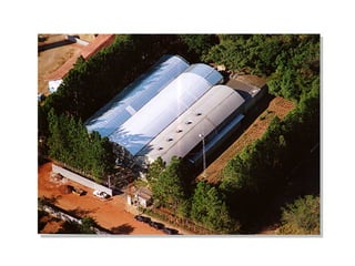 ESTAMOS   CRESCENDO... 