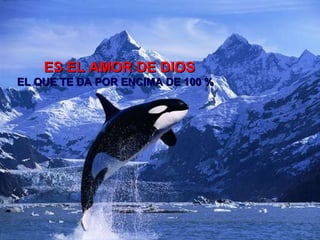 ES EL AMOR DE DIOS  EL QUE TE DA POR ENCIMA DE 100 %      