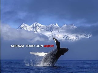 ABRAZA TODO CON   AMOR 