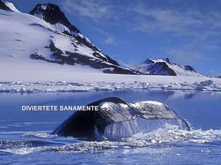 DIVIERTETE SANAMENTE 