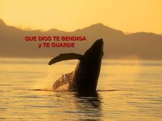 QUE DIOS TE BENDIGA  y TE GUARDE   