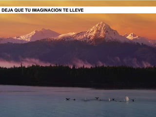 DEJA QUE TU IMAGINACION TE LLEVE  