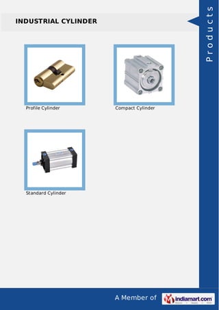 Products

INDUSTRIAL CYLINDER

Profile Cylinder

Compact Cylinder

Standard Cylinder

A Member of

 