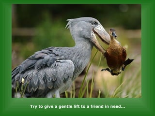 Try to give a gentle lift to a friend in need...   